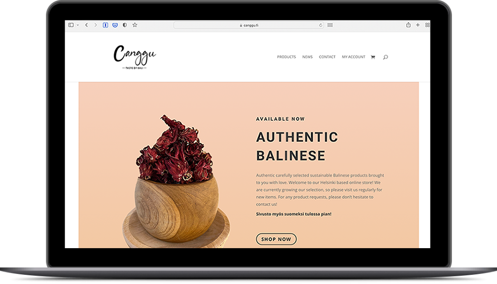 website-canggu-kreativ-company